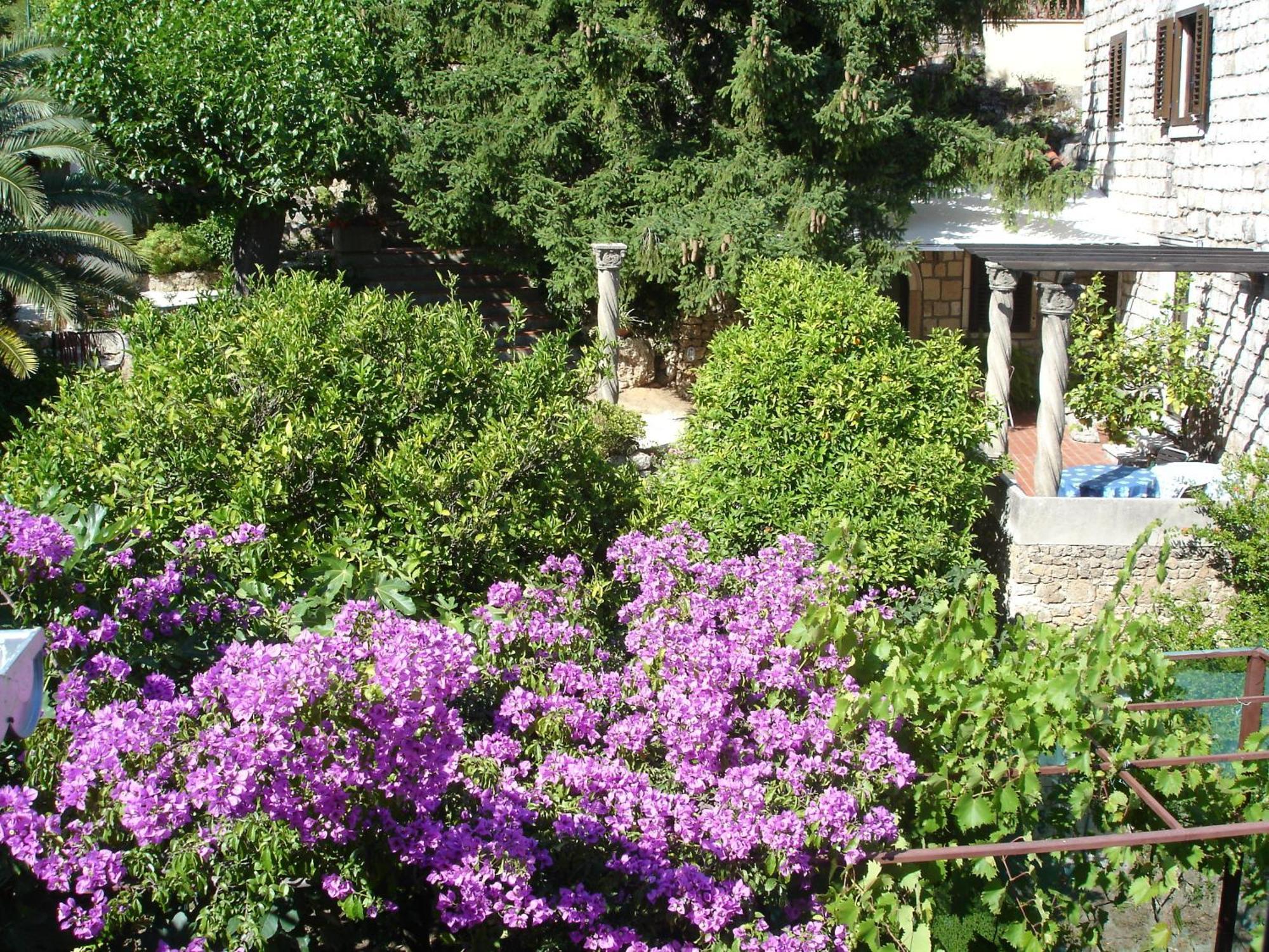 Villa Fede Mlini Exterior foto